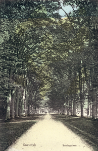 14128 Gezicht in de Koningslaan met bomenrijen te Soestdijk (gemeente Baarn) uit het zuidwesten.